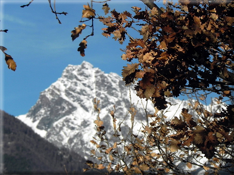 foto Alpe Seura